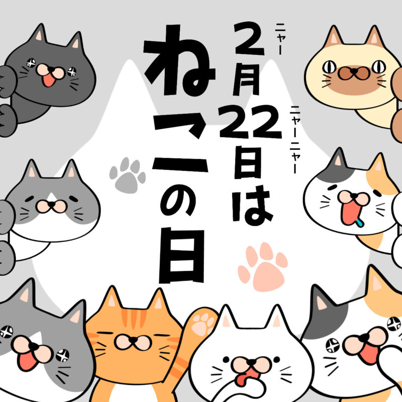 今日は何の日pop 】2月22日は「猫の日」 Popkit Blog（ポップキットブログ）